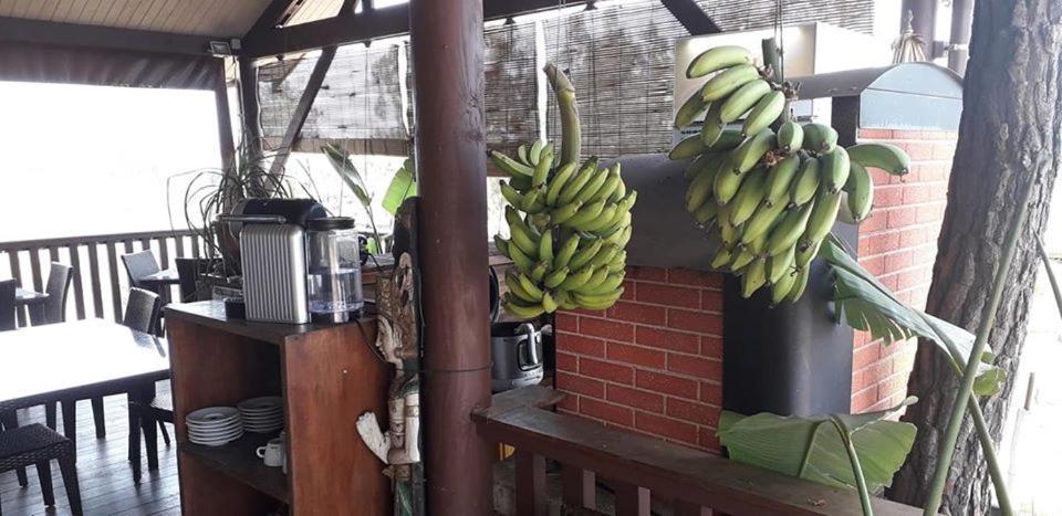 Le Gite Du Koniambo Voh Ngoại thất bức ảnh